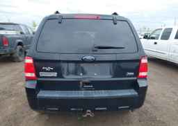 2010 FORD ESCAPE XLT