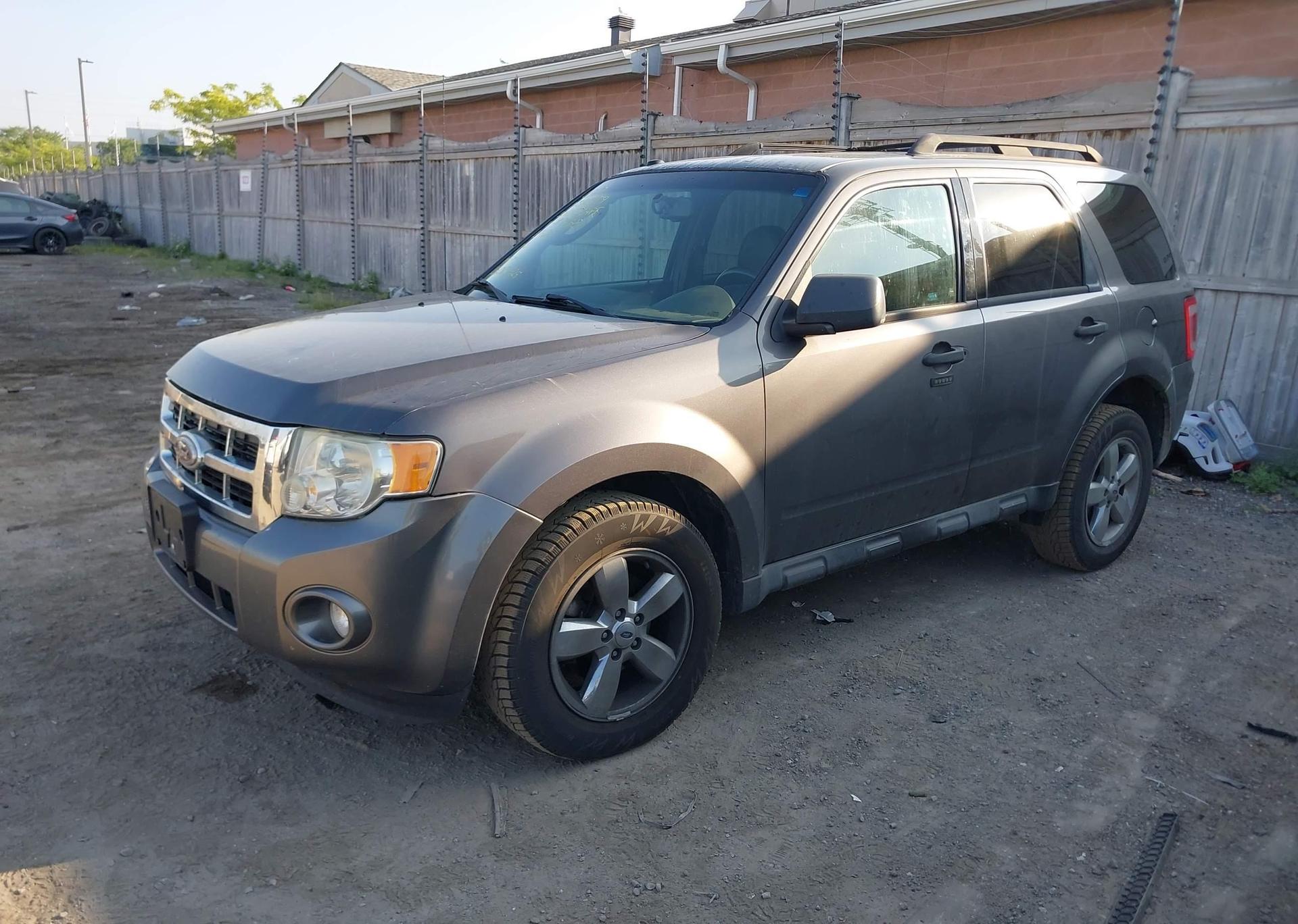 2010 FORD ESCAPE XLT