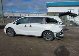 2024 HONDA ODYSSEY EXL