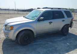 2012 FORD ESCAPE XLT