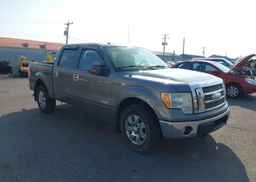 2014 FORD F150 SUPERCREW