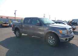2014 FORD F150 SUPERCREW
