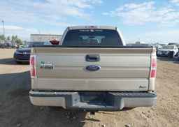 2010 FORD F150 SUPERCREW