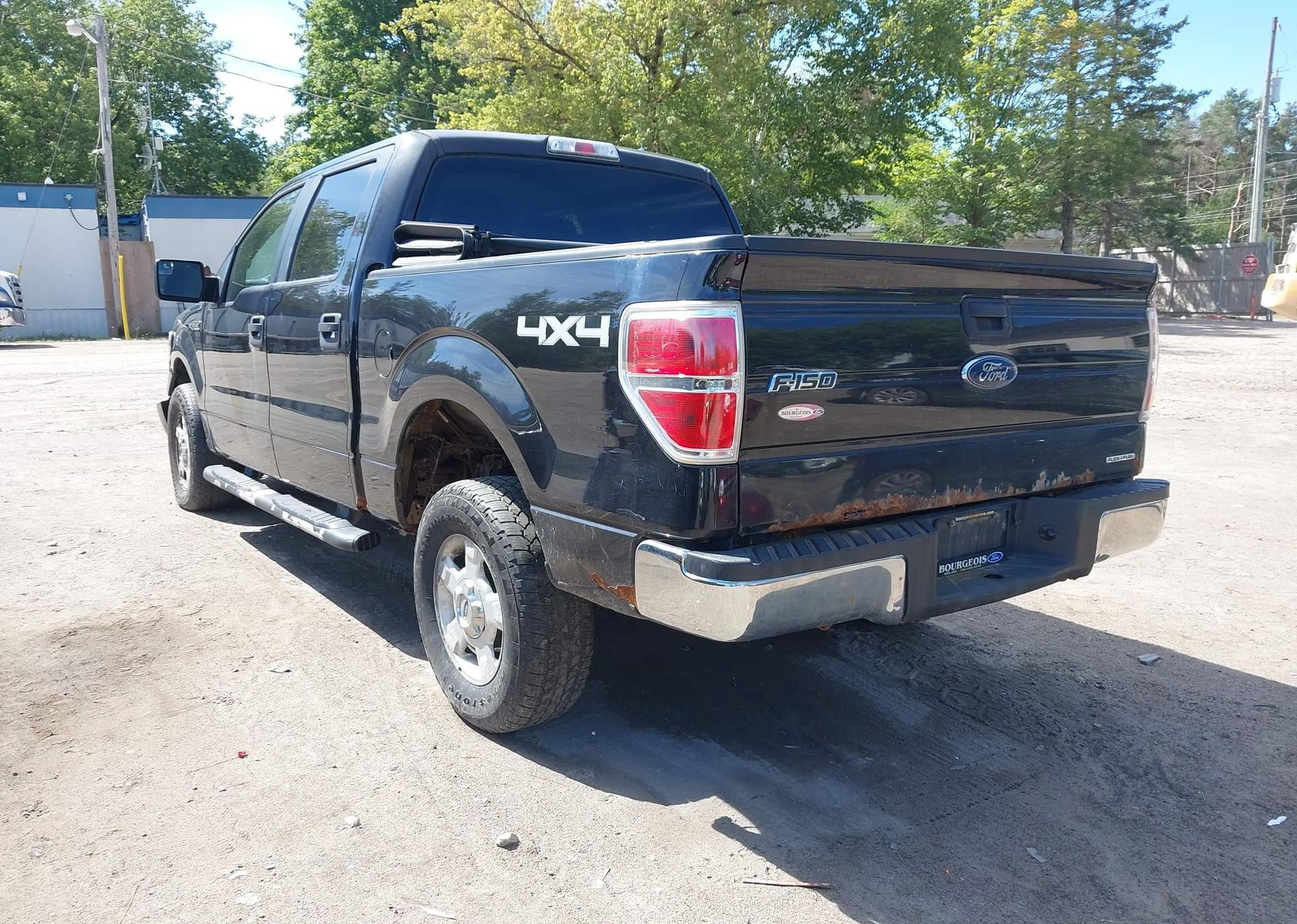 2014 FORD F-150 XLT