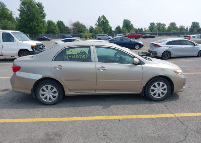 2010 TOYOTA COROLLA CE
