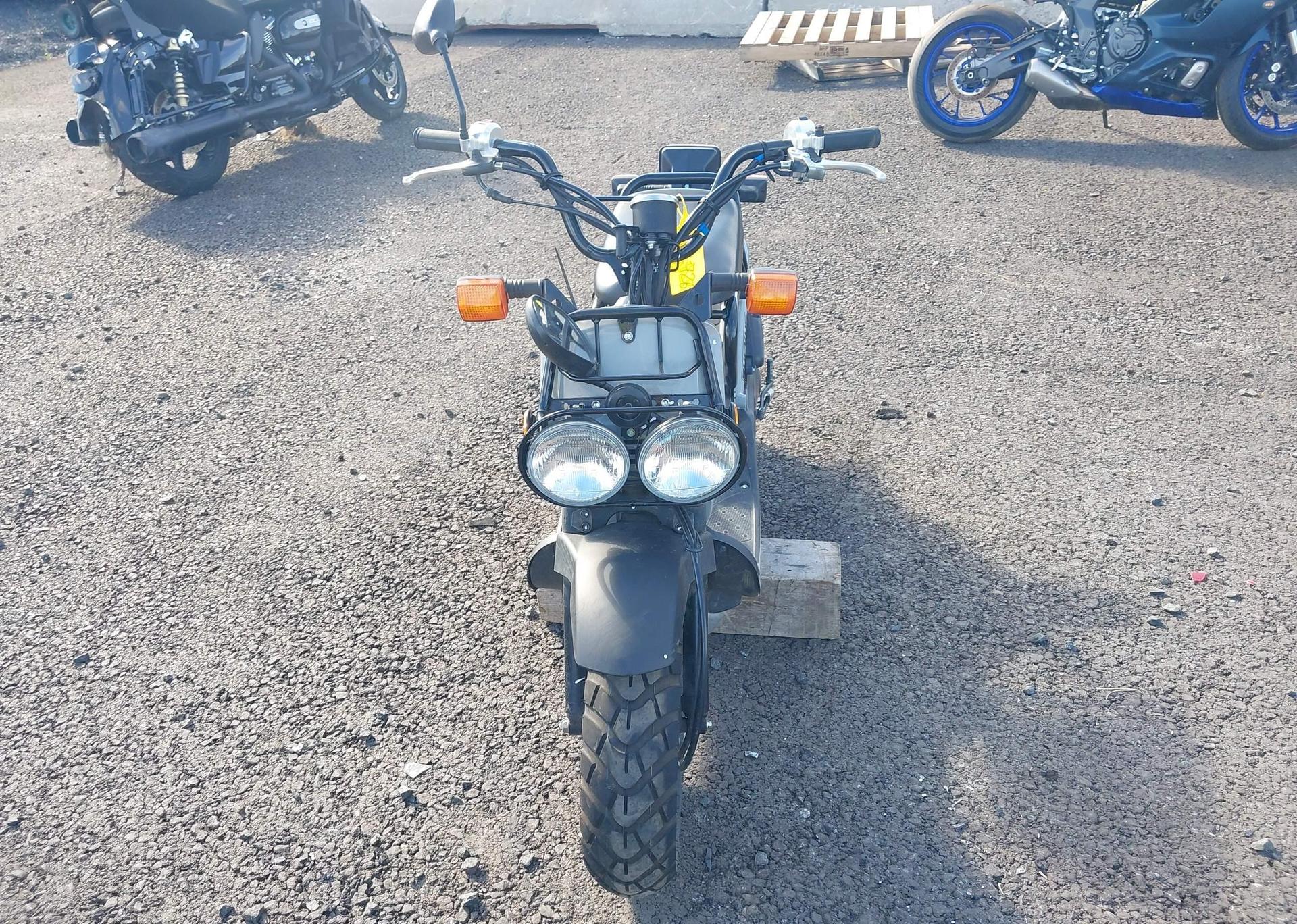 2023 HONDA NPS50