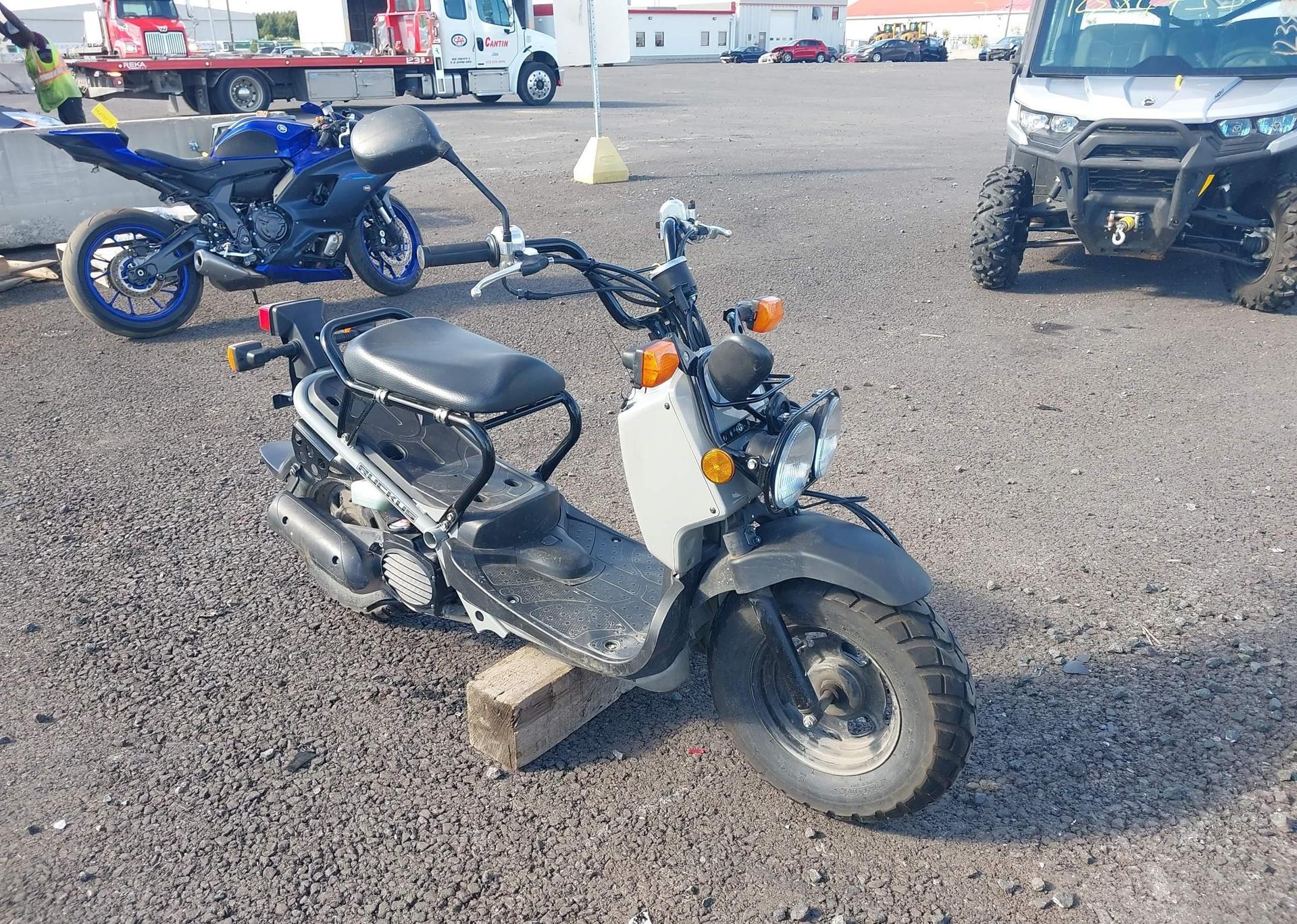 2023 HONDA NPS50