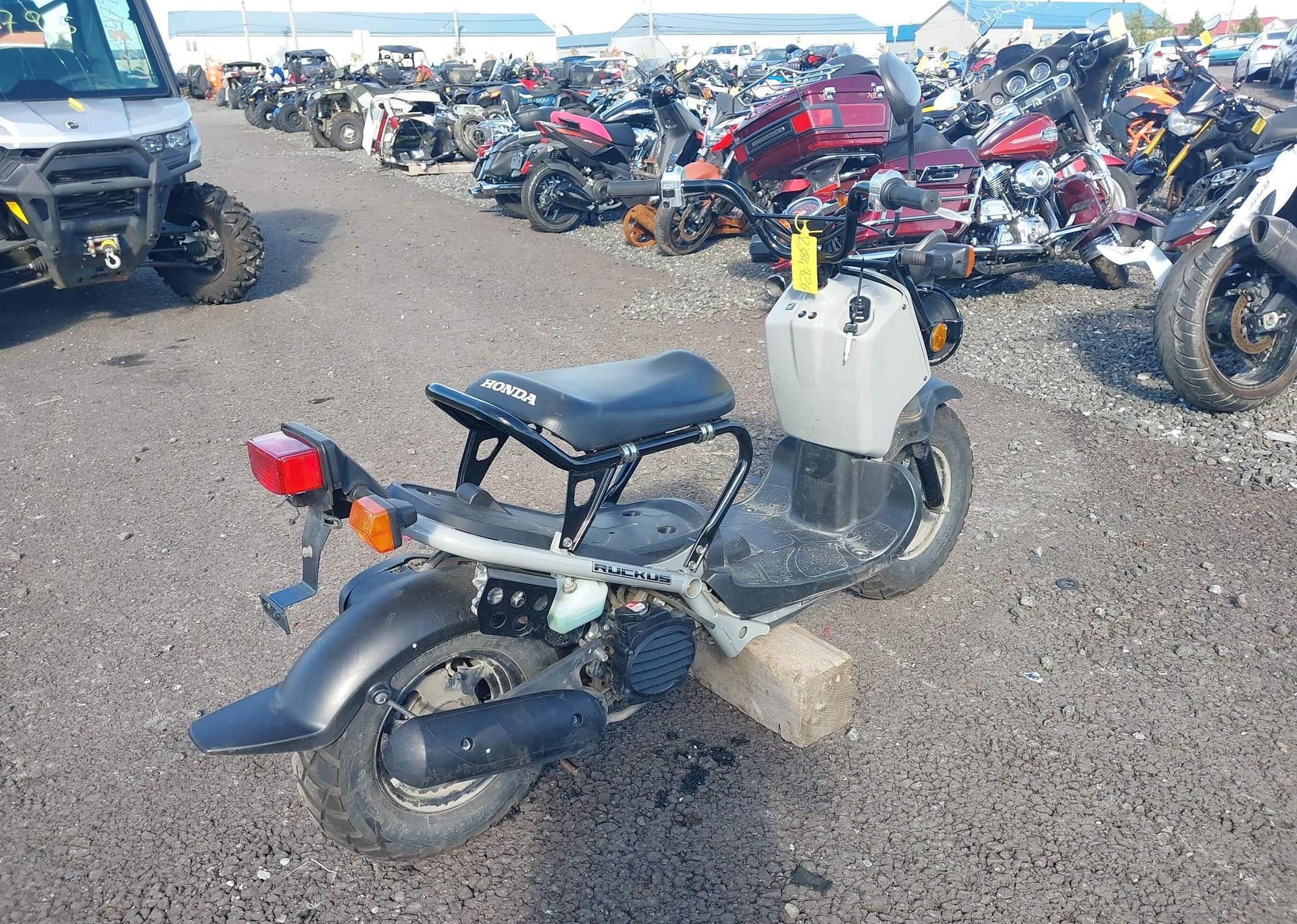 2023 HONDA NPS50