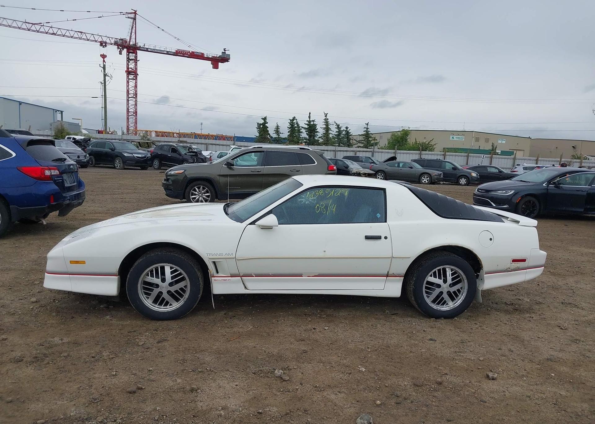 1986 PONTIAC FIREBIRD TRANS AM