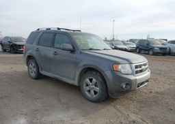 2010 FORD ESCAPE LIMITED