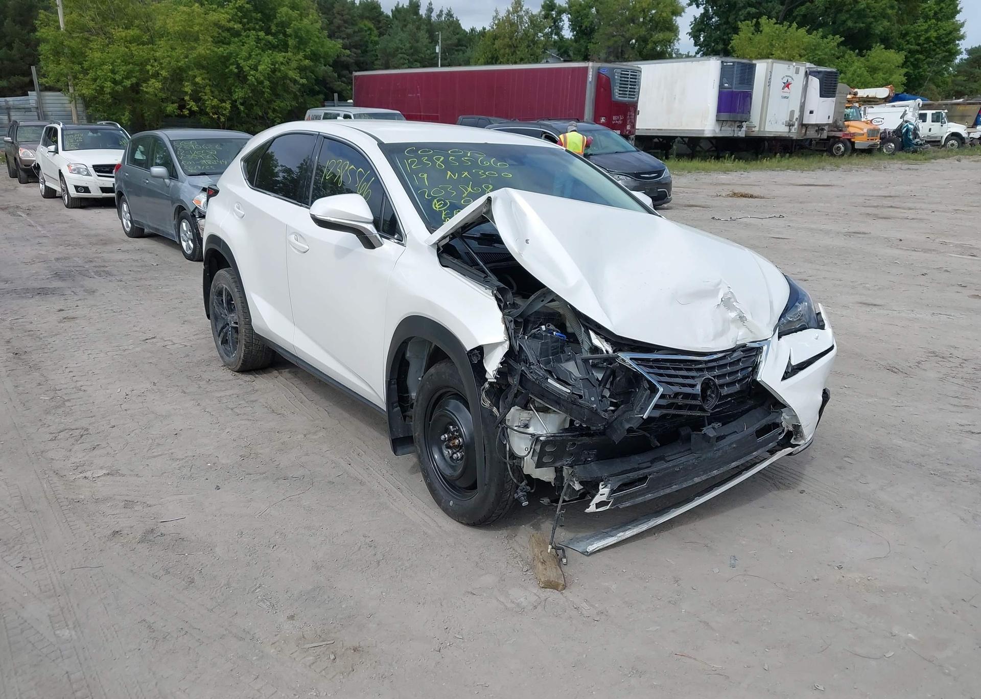 2019 LEXUS NX 300