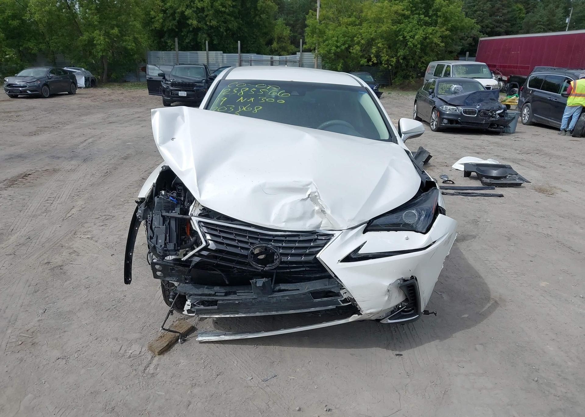2019 LEXUS NX 300