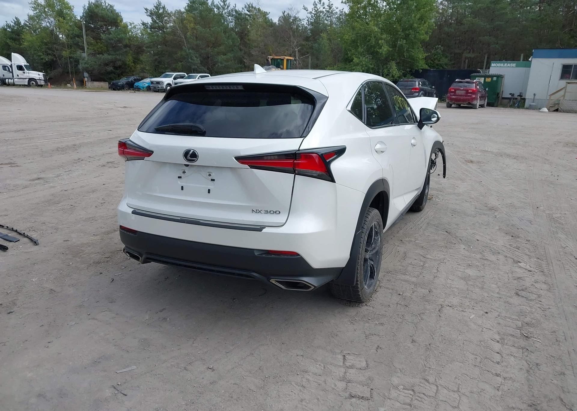 2019 LEXUS NX 300