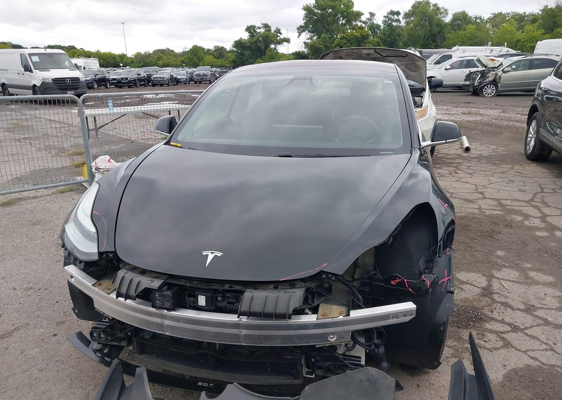 2019 TESLA MODEL 3 LONG RANGE