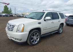 2007 CADILLAC ESCALADE LUXURY