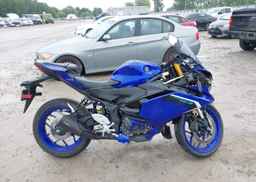 2025 YAMAHA YZF-R3