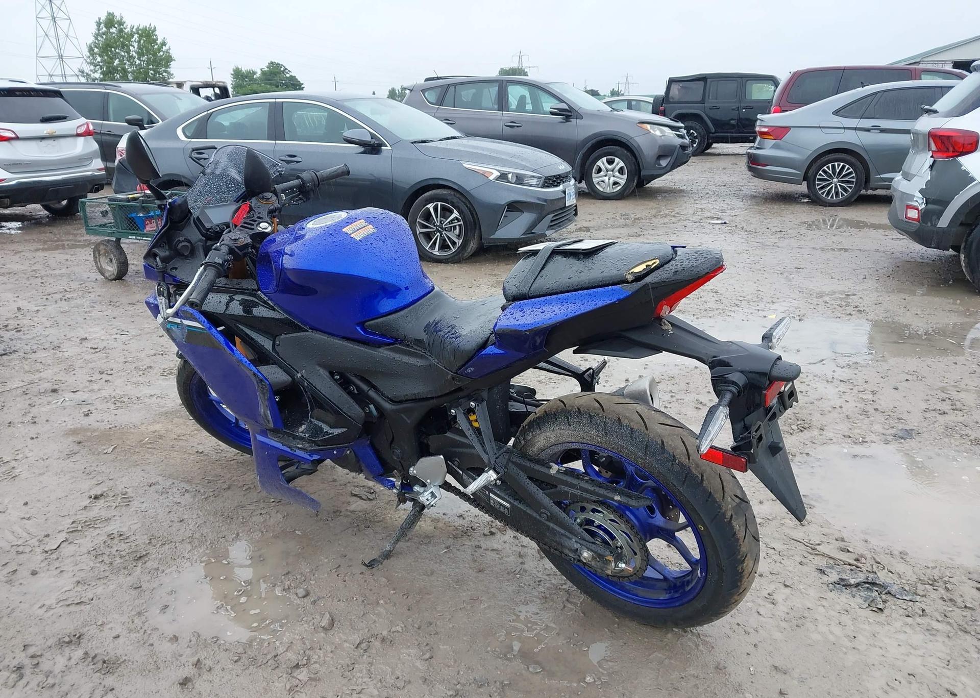 2025 YAMAHA YZF-R3