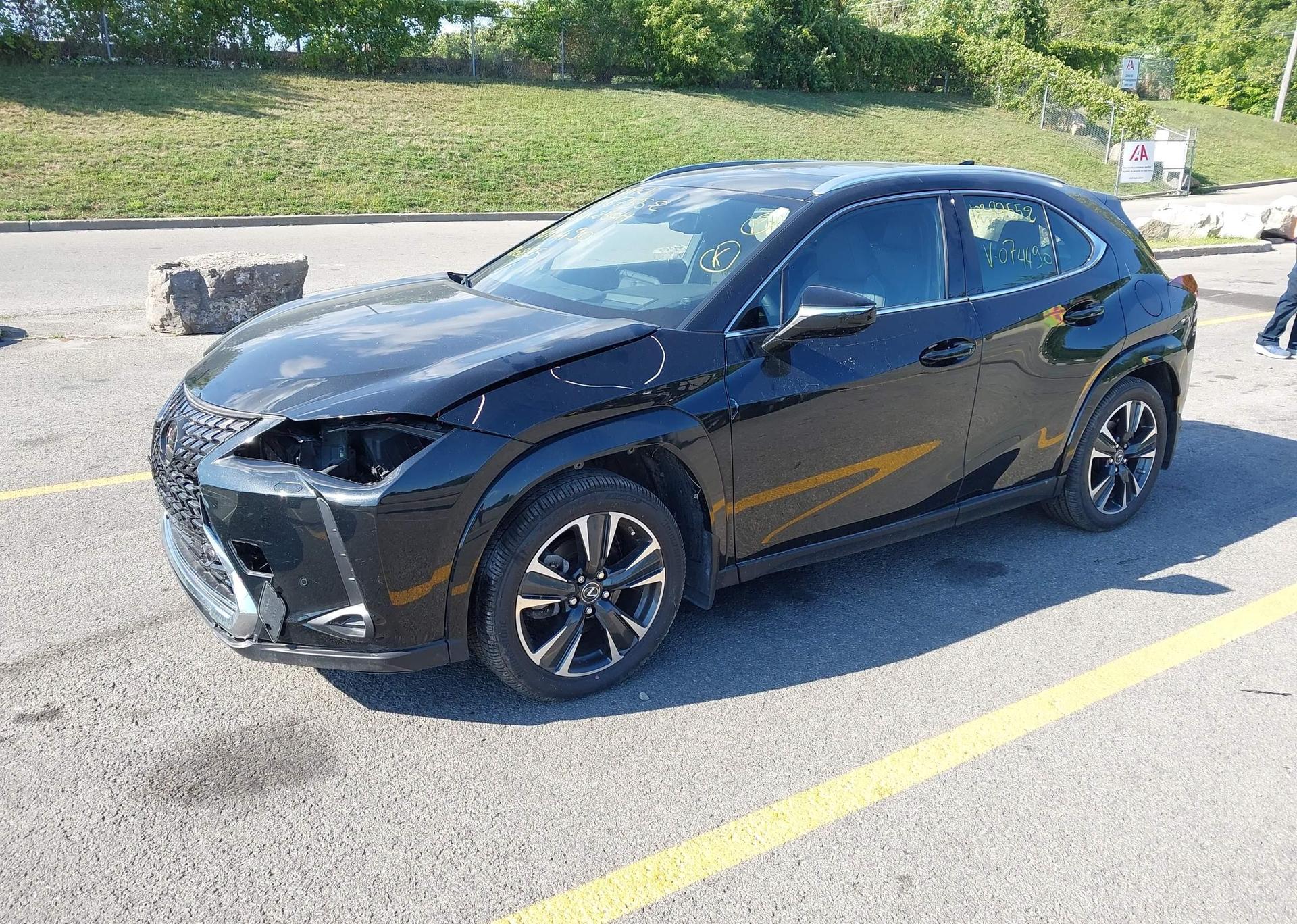 2024 LEXUS UX 250H