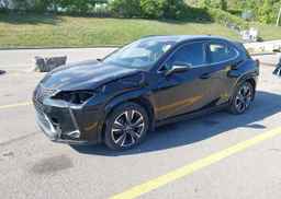 2024 LEXUS UX 250H
