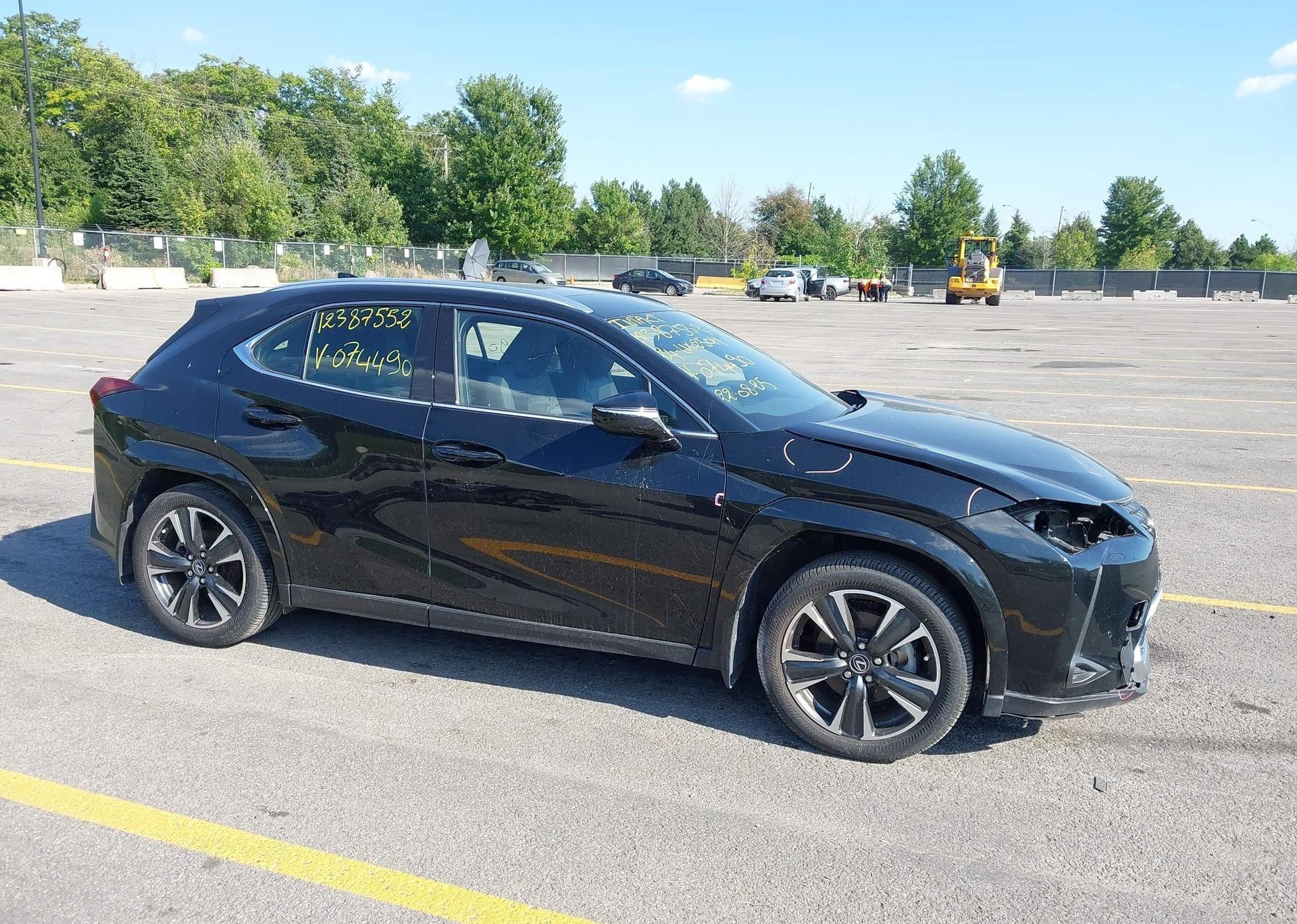 2024 LEXUS UX 250H