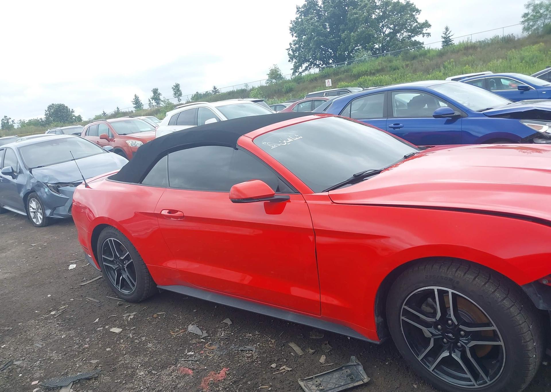 2019 FORD Mustang Convertible