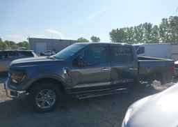 2025 FORD F150 XLT