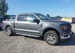 2025 FORD F150 XLT