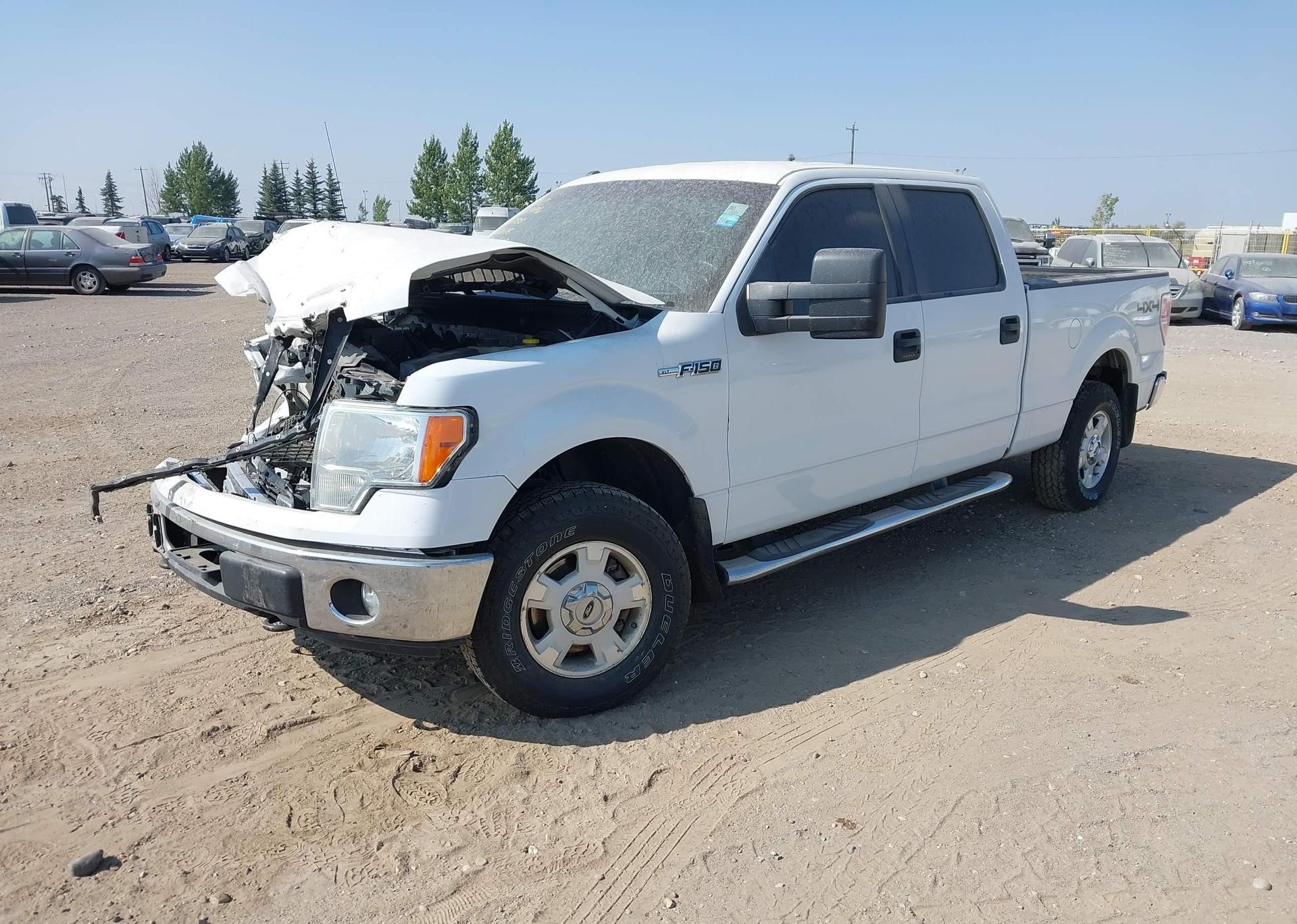2014 FORD F-150 XLT