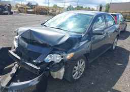 2009 TOYOTA COROLLA LE