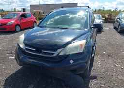2010 HONDA CR-V LX