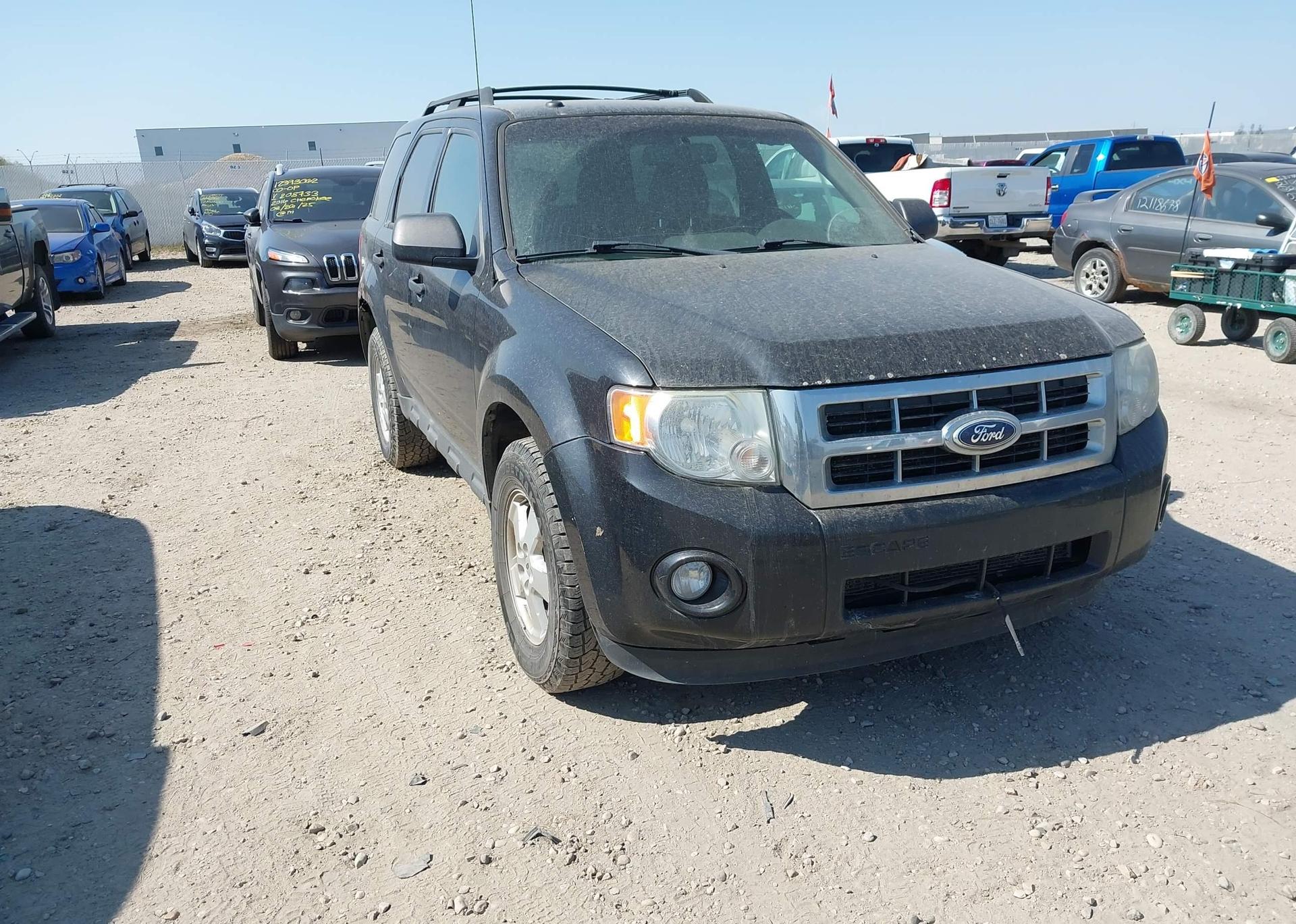 2011 FORD ESCAPE XLT
