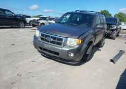 2010 FORD ESCAPE XLT
