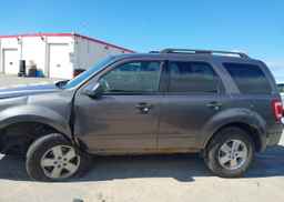 2010 FORD ESCAPE XLT