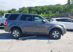 2010 FORD ESCAPE XLT