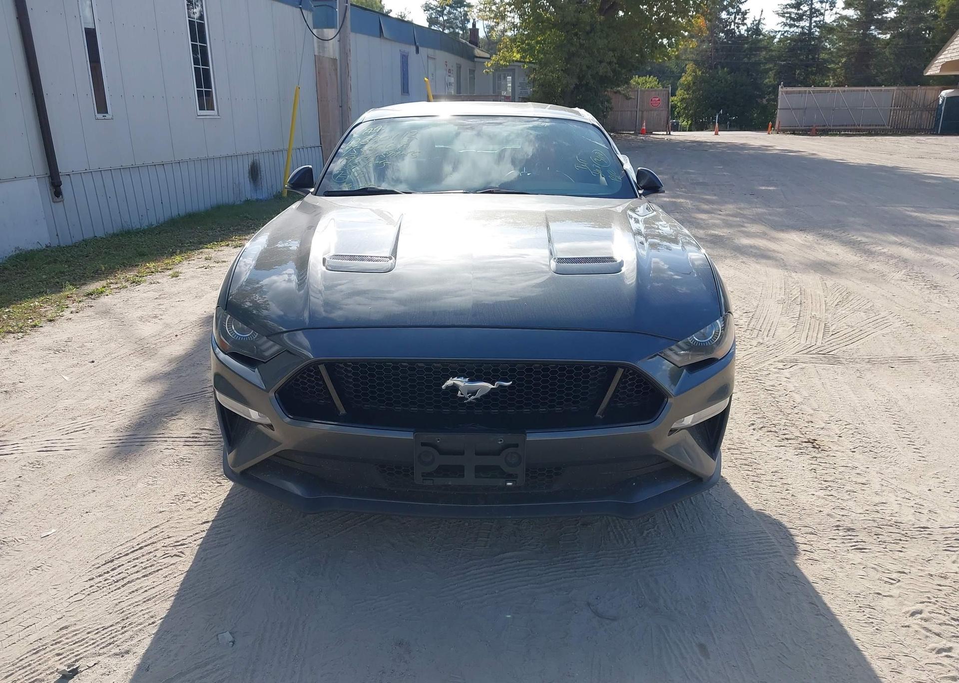 2019 FORD MUSTANG GT