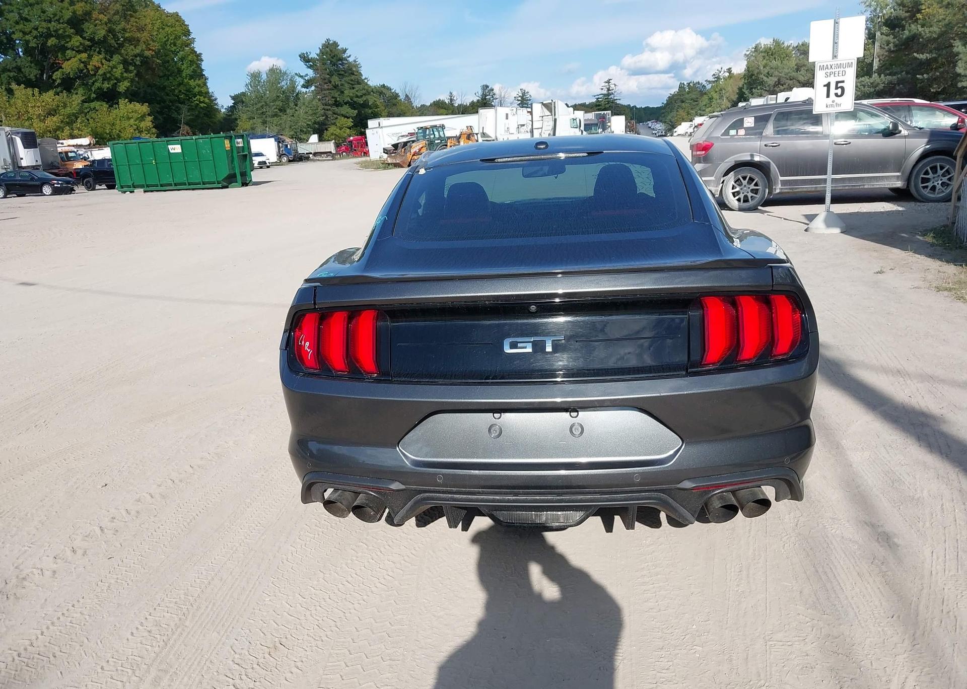 2019 FORD MUSTANG GT