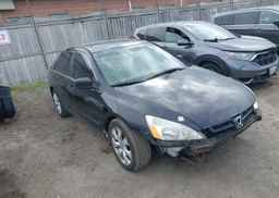 2003 HONDA ACCORD EX-V6