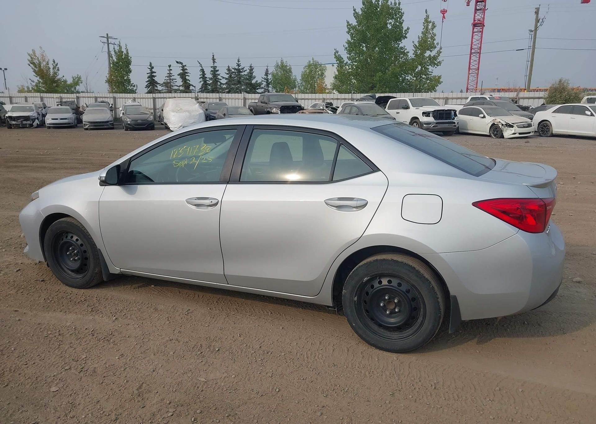 2019 TOYOTA COROLLA