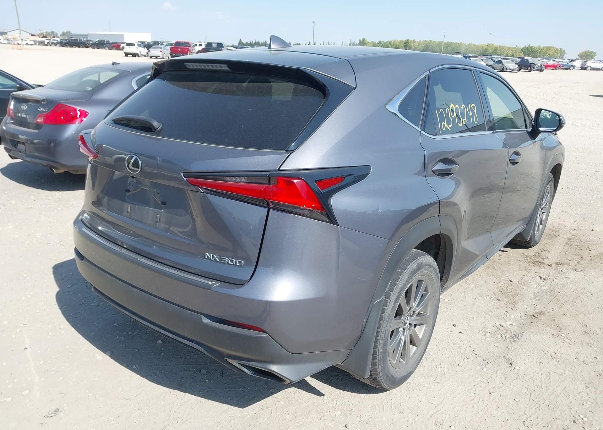 2019 LEXUS NX 300