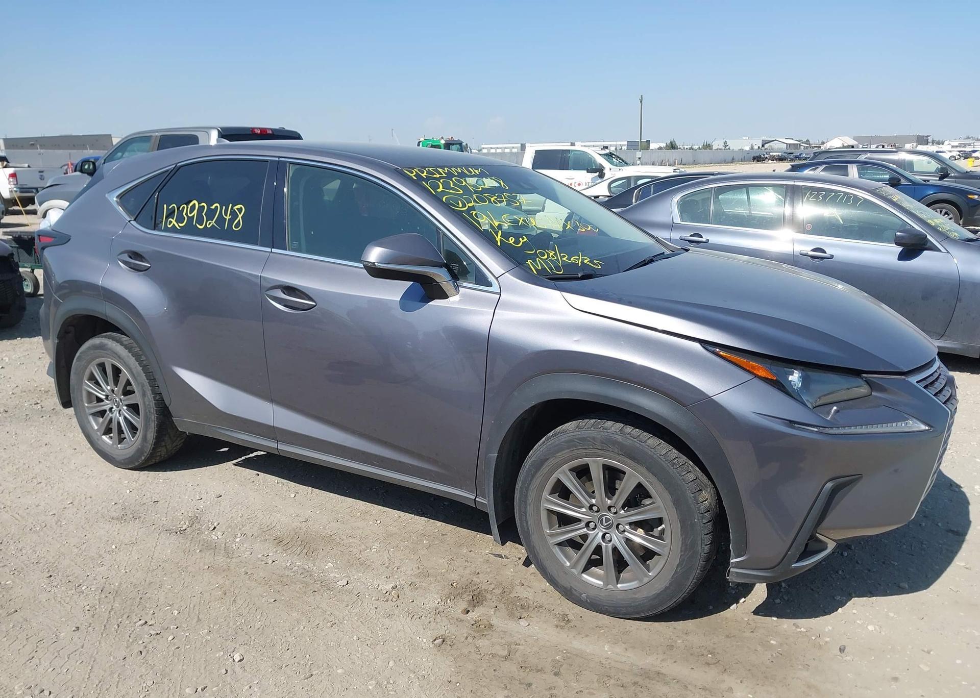 2019 LEXUS NX 300