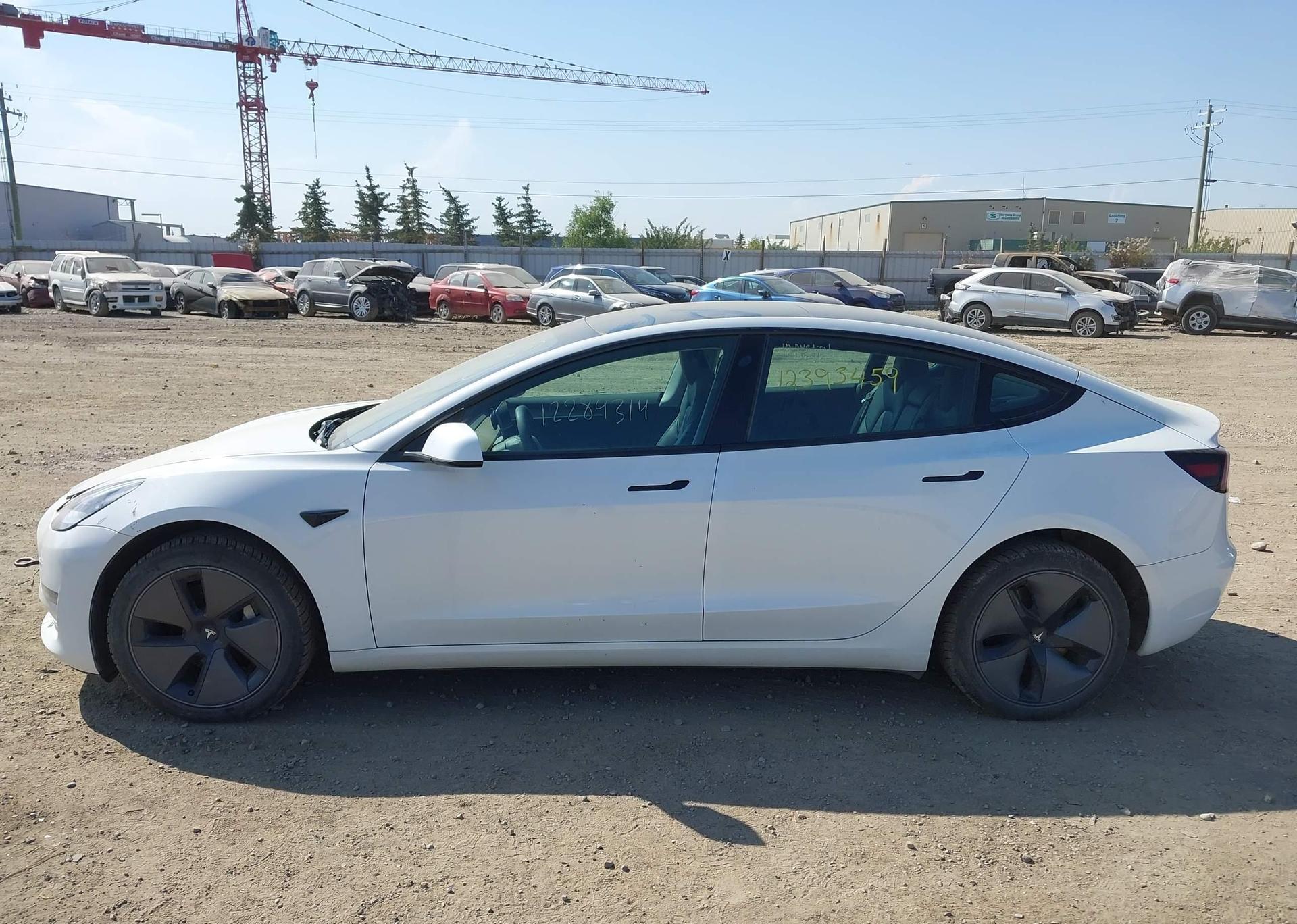 2023 TESLA MODEL 3 RWD