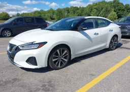 2023 NISSAN MAXIMA SL