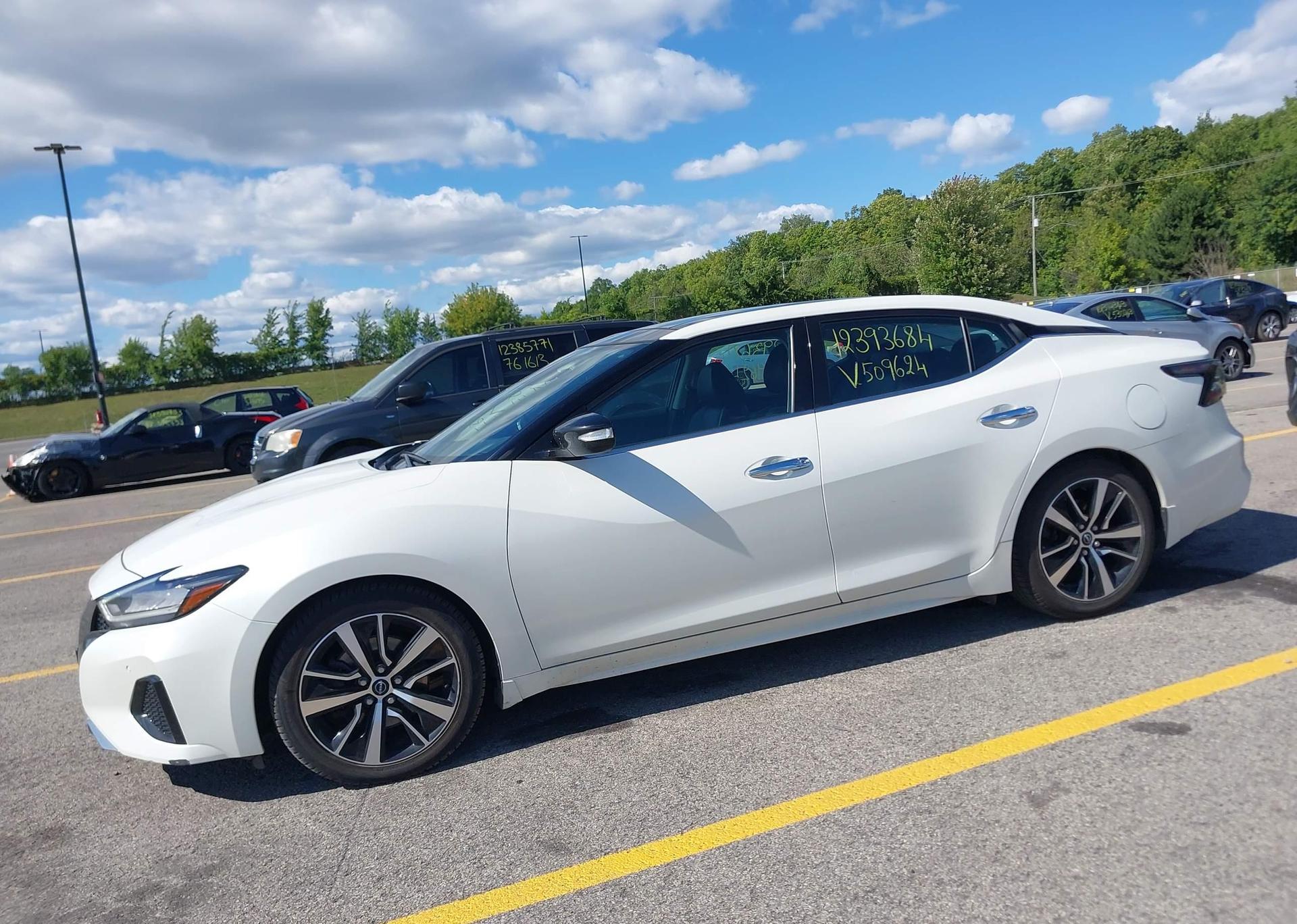 2023 NISSAN MAXIMA SL
