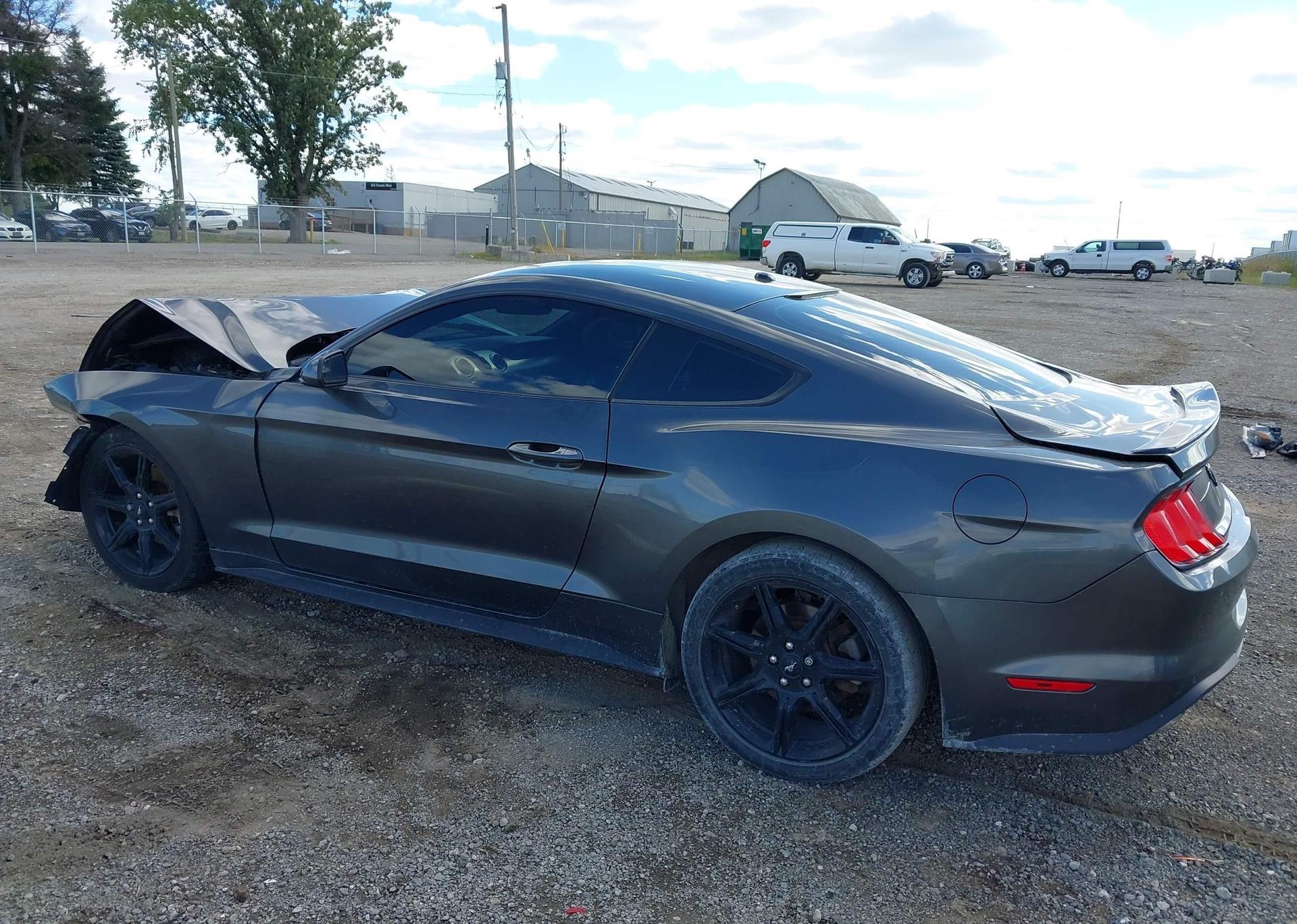 2019 FORD MUSTANG