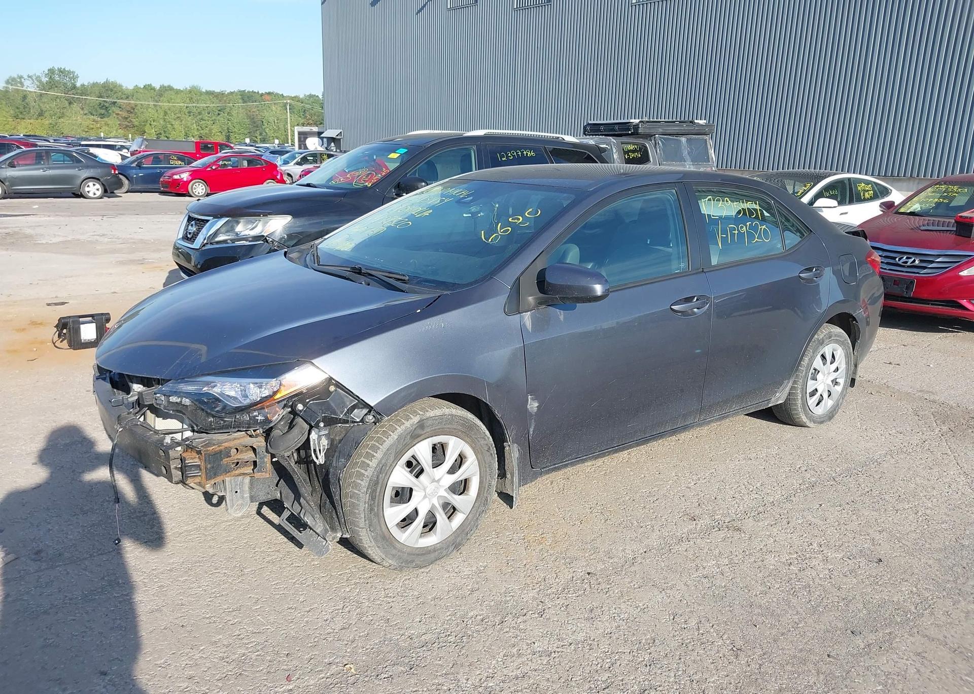 2019 TOYOTA COROLLA