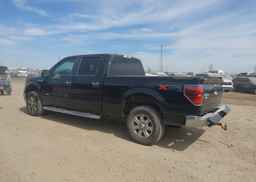 2013 FORD F150 SUPERCREW