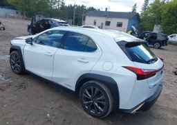 2019 LEXUS UX 250H