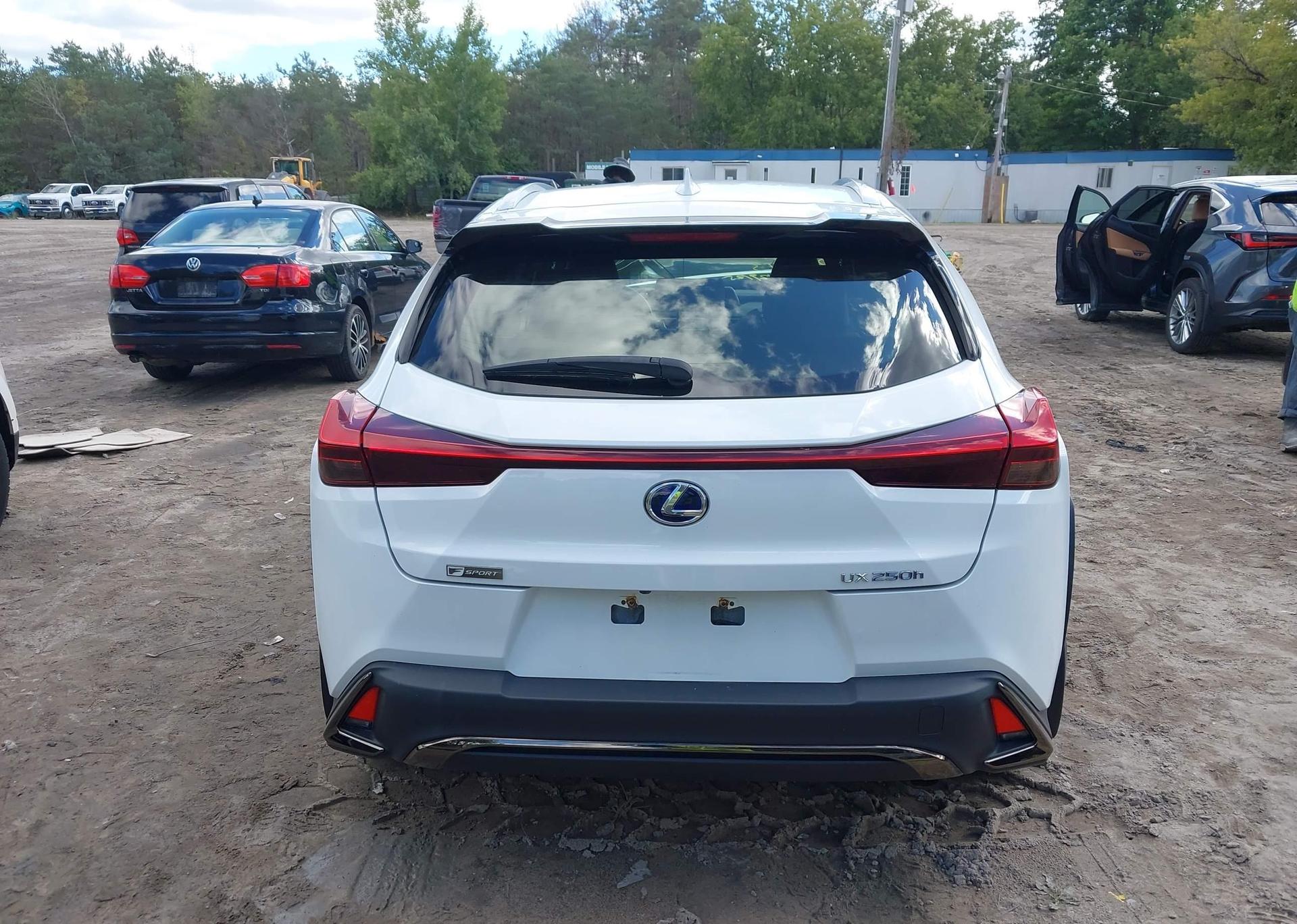 2019 LEXUS UX 250H