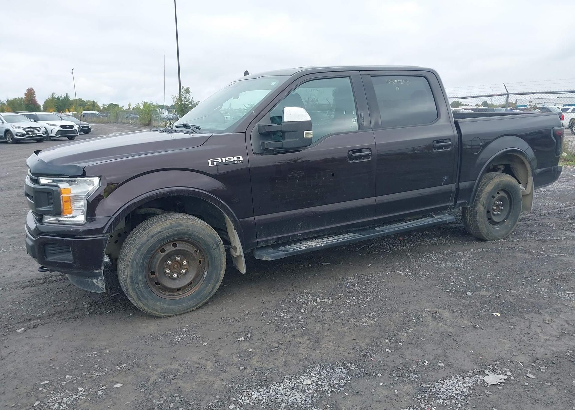 2019 FORD F-150 XLT