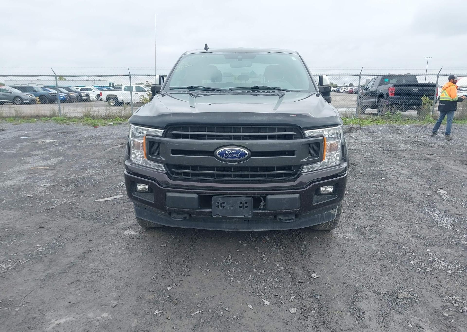 2019 FORD F-150 XLT